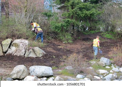 VANCOUVER, BC/Canada - March 27, 2018: Park Crew Start Landscaping Work On Habitat Island, A Small Land Mass In False Creek In Vancouver, BC, Canada On March 27, 2018.