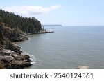 Vancouver Canada Coastline Park Trees