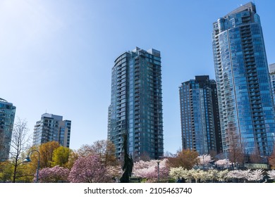 Vancouver City Downtown Skyscrapers Skyline Against Sunny Blue Sky. Cherry Blossom Flowers In Full Bloom. British Columbia, Canada.