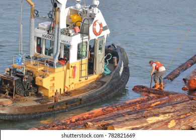 VANCOUVER - December 12, 2017: A Tug Boat Worker Attaches A Chain To A Log Boom While The Captain Looks On Seen Here On December 12,2017.