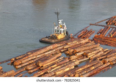 VANCOUVER - December 12, 2017: Wide Shot Of A A Tug Boat Worker Attaching A Chain To A Log Boom On Vancouver's Fraser River In West Coast Canada On December 12,2017.