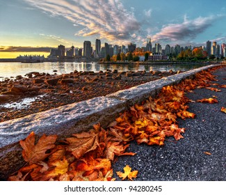 Vancouver downtown fallen leaves from seawall in October