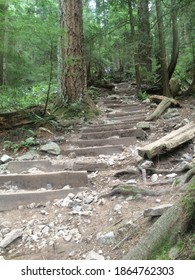 Vancouver Grouse Grind Forest Hiking