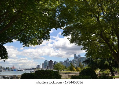A Vancouver harbour and skyscraper skyline behind grassy parks and trees. The view is framed by the foliage of two large trees on either side.