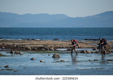 VANCOUVER ISLAND, CANADA -  CIRCA MAY, 2010 - Two Hikers On West Coast Trail, Canada