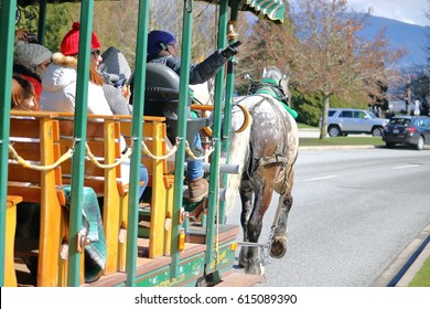 stanley park horse carriage