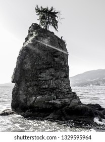 Vancouver Sea Wall, Rock