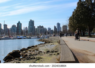 Vancouver Skyline View Through Stanley Park  In Winter 