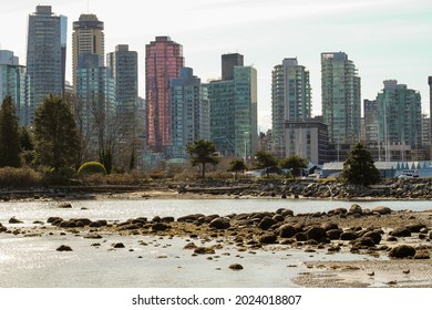 Vancouver Skyline View Through Stanley Park  In Winter 
