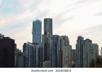 Vancouver Skyline View Through Stanley Park  In Winter 