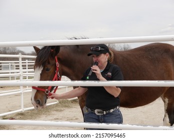 VANDALIA, UNITED STATES - Apr 07, 2013: A closeup of a trainer at the Budweiser Clydesdale facility at Warm Springs Ranch in Boonville, Missouri