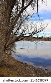 Vanderbilt Park, 855 S Platte River Dr, Denver, CO