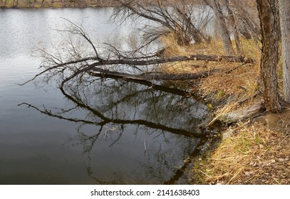 Vanderbilt Park, 855 S Platte River Dr, Denver, CO