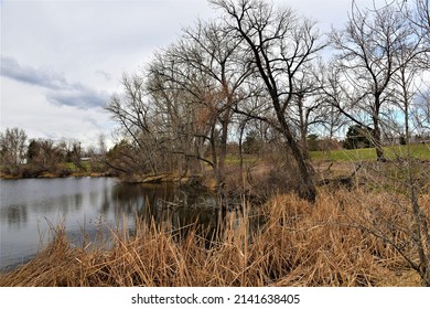 Vanderbilt Park, 855 S Platte River Dr, Denver, CO