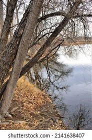 Vanderbilt Park, 855 S Platte River Dr, Denver, CO