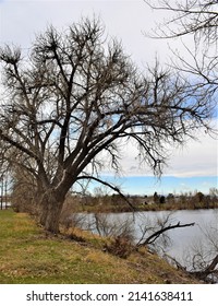 Vanderbilt Park, 855 S Platte River Dr, Denver, CO