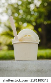 Vanilla Bean Ice Cream Cup