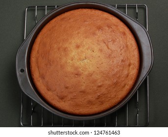 Vanilla Cooked Cake In Baking Pan