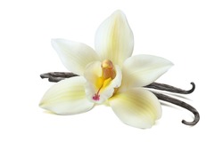 Vanilla Flower 2 Beans Isolated On White Background As Package Design Element