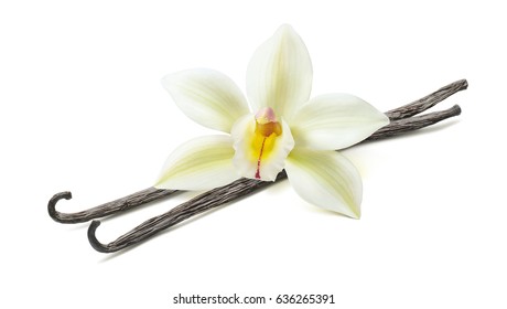 Vanilla Flower Pod Diagonal 2 Isolated On White Background As Package Design Element