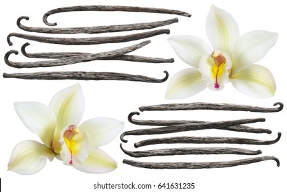 Vanilla flower stick element set isolated on white background for package design