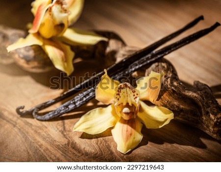 Vanilla flowers and pods close up. Vanilla beans over wooden background, macro shot. Aromatic condiments. 