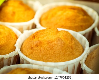 Vanilla Muffins, Paper Cupcake Holder, Selective Focus. Close-up Photo Of Decorated Homemade Cupcakes In Box. Gluten Free Almond Flour Muffin.