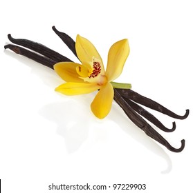 Vanilla Orchid Pod Isolated On White Background