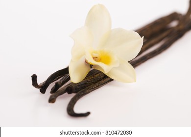 7,632 Yellow vanilla flower white background Images, Stock Photos ...