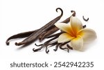 Vanilla Pods: Dark brown vanilla pods with textured surfaces, surrounded by light brown vanilla beans and a vibrant yellow plumeria flower