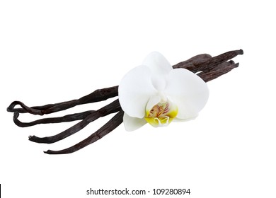 Vanilla Pods And Flower Isolated On White Background