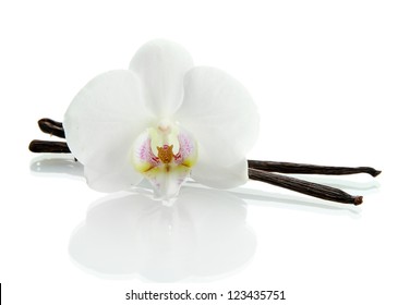 Vanilla Pods With Flower Isolated On White