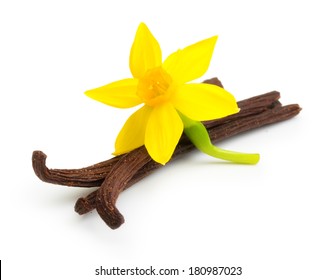 Vanilla Pods And  Flower Isolated On White Background