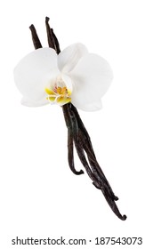 Vanilla Pods And Flower Isolated On White Background