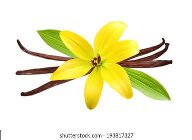 Vanilla Pods And Flower Isolated On White Background