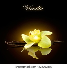 Vanilla. Pods And Flower Of Vanilla Isolated On Black Background. Vanilla Pod Stick Over Dark Background Close Up