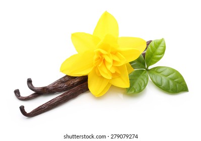 Vanilla Pods And Flower Isolated On White Background