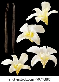 Vanilla pods and flower on black background