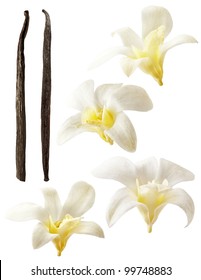 Vanilla Pods And Flower On White Background