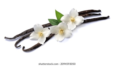 Vanilla Pods On White Background