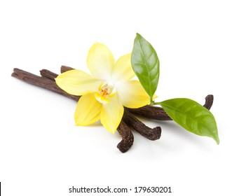 Vanilla Pods And Orchid Flower Isolated On White Background