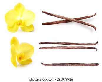 Vanilla Pods And Orchid Flower Isolated On White Background