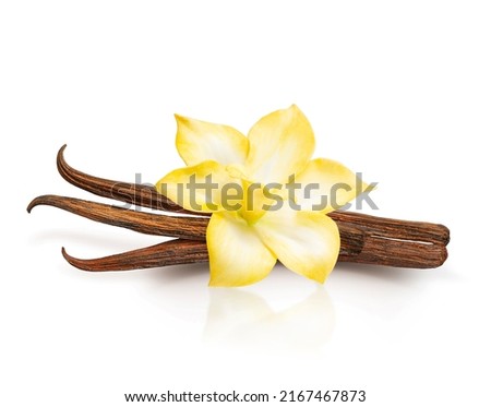 Vanilla pods and orchid flower isolated on white
