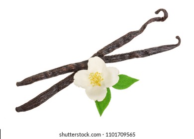 Vanilla Sticks With Flower And Leaf Isolated On White Background. Top View. Flat Lay