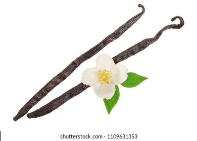 Vanilla Sticks With Flower And Leaf Isolated On White Background. Top View. Flat Lay