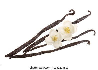 Vanilla Sticks With Flower And Leaf Isolated On White Background. Top View. Flat Lay