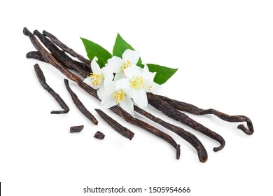 Vanilla Sticks With Flower And Leaf Isolated On White Background