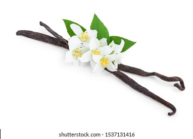 Vanilla Sticks Flower Leaf Isolated On Stock Photo 1537131416 ...