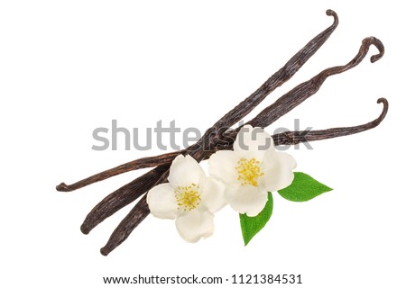 Vanilla sticks with flower and leaf isolated on white background. Top view. Flat lay