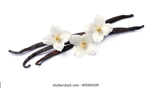 Vanilla sticks with flowers on white backgrounds.